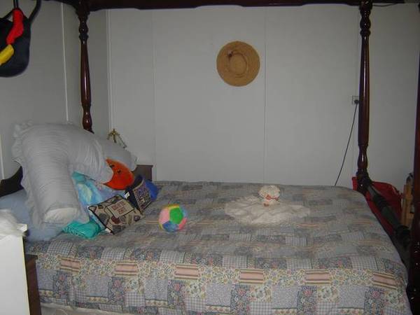 21 Olive Street, Mandurama Picture 3