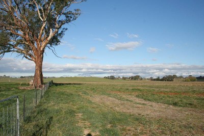 51 Eves Lane, Millthorpe Picture 51 Eves Lane, Millthorpe Picture