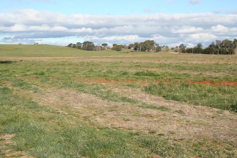 51 Eves Lane, Millthorpe Picture 2