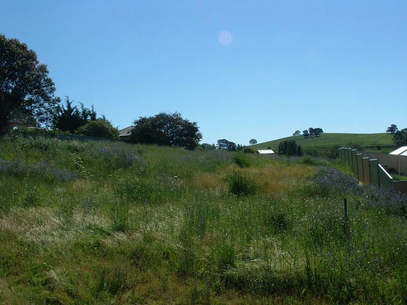 9 Athol Street, Blayney Picture 1