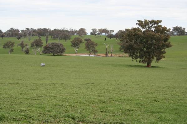 Argyle, Lawson Road, Panuara Picture 2