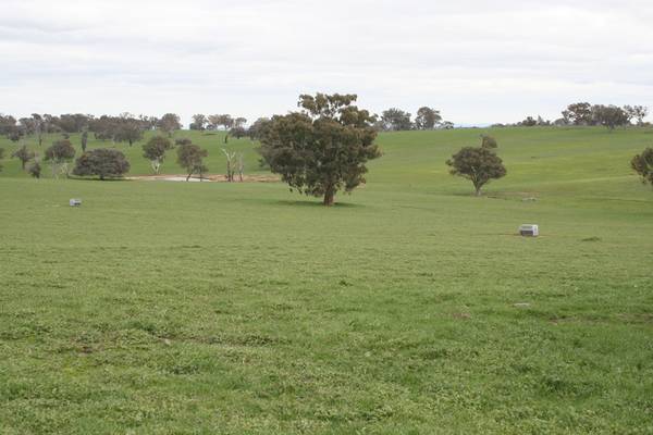 Argyle, Lawson Road, Panuara Picture 3