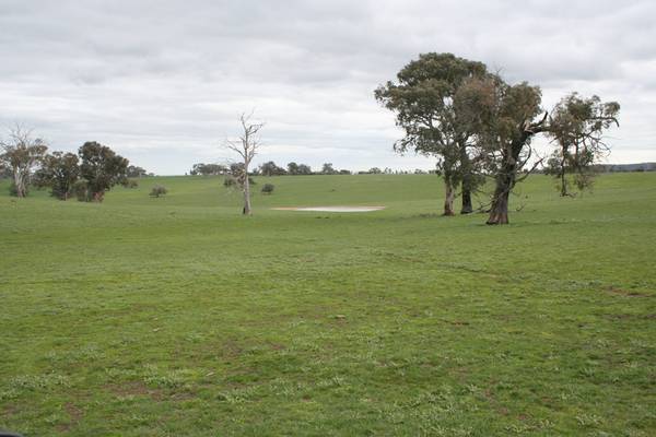 Argyle, Lawson Road, Panuara Picture 1