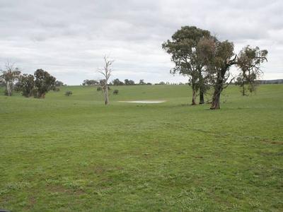 Argyle, Lawson Road, Panuara Picture Argyle, Lawson Road, Panuara Picture