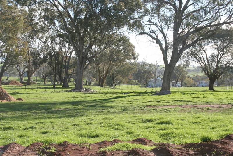 Cudal Gardens Estate, Cudal Picture 2