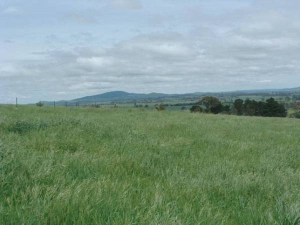 Lot 1 Brown's Creek Road, Blayney Picture 1