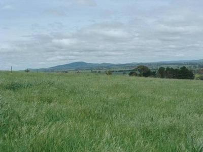Lot 1 Brown's Creek Road, Blayney Picture