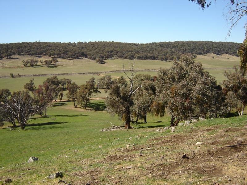 Lot 102 Sandy Creek Road, Molong Picture 2