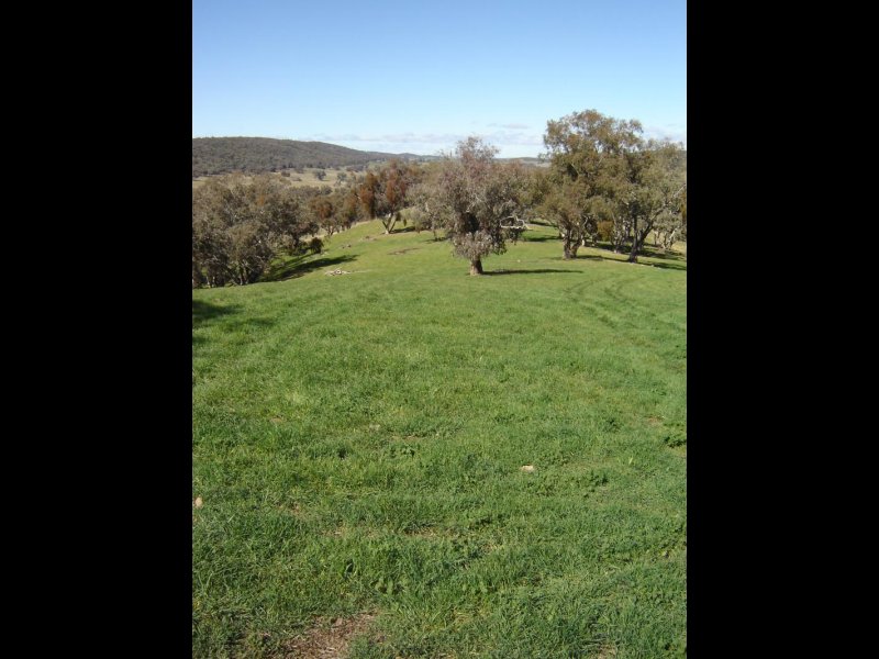 Lot 102 Sandy Creek Road, Molong Picture 3