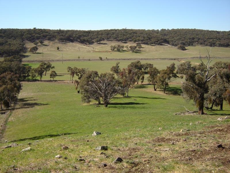 Lot 102 Sandy Creek Road, Molong Picture 1