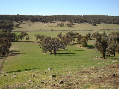 Lot 102 Sandy Creek Road, Molong Picture Lot 102 Sandy Creek Road, Molong Picture