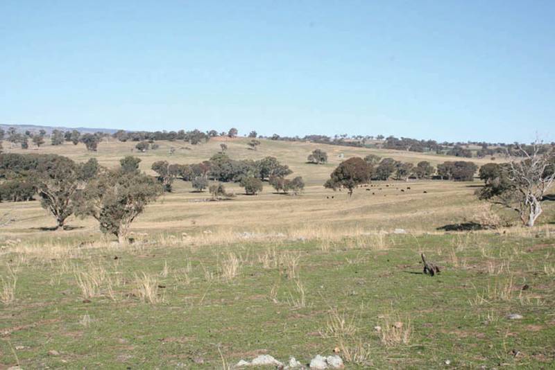 Lot 104 Yarrawonga, Kite's Mountain, Molong Picture 2