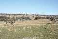 Lot 104 Yarrawonga, Kite's Mountain, Molong Picture