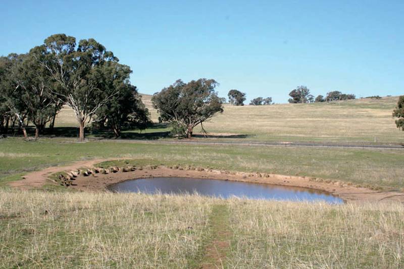 Lot 104 Yarrawonga, Kite's Mountain, Molong Picture 3