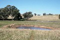 Lot 104 Yarrawonga, Kite's Mountain, Molong Picture