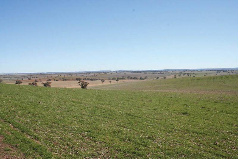 Lot 104 Yarrawonga, Kite's Mountain, Molong Picture 1