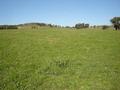 Lot 206 Beri, Euchareena Road Molong Picture