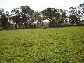 Lot 206 Beri, Euchareena Road Molong Picture