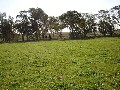 Lot 206 Beri, Euchareena Road Molong Picture