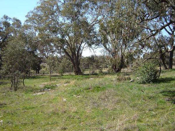 Lot 267 Hill Street MOLONG Picture