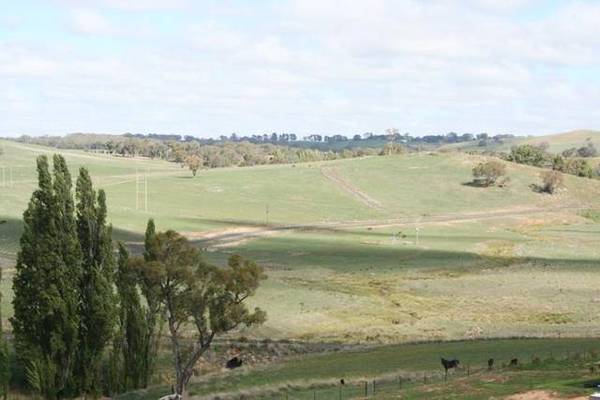 Lot 305 James Dalton Drive, Windera Picture 1