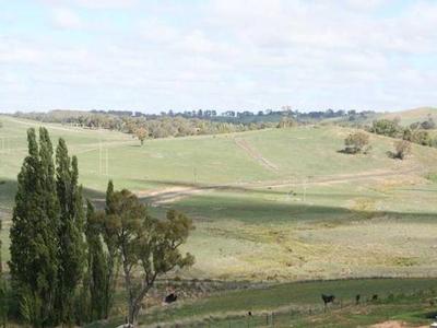 Lot 305 James Dalton Drive, Windera Picture