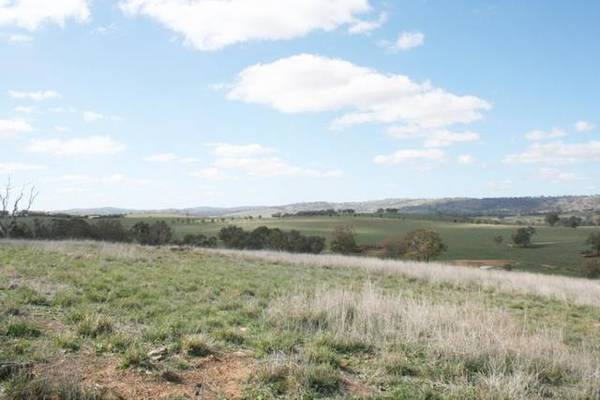 Lot 305 James Dalton Drive, Windera Picture 2