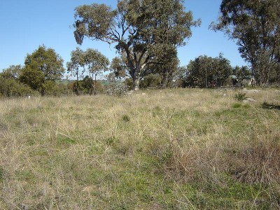 Lot 203 McGroder Street, Molong Picture Lot 203 McGroder Street, Molong Picture