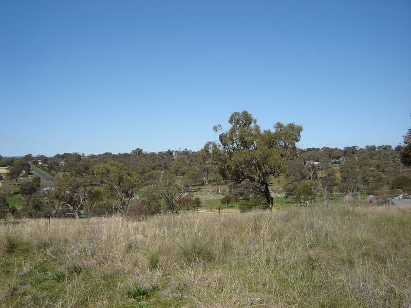 Lot 203 McGroder Street, Molong Picture 2