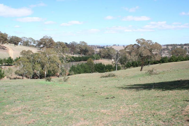 The Gully, Dickson's Lane, Tallwood Picture 1