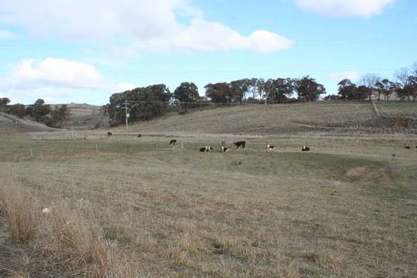 WINDERA ESTATE Picture 3