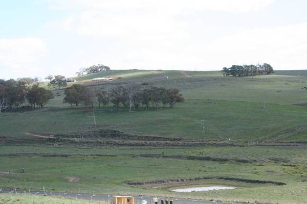 WINDERA ESTATE Picture 2