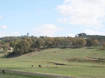 WINDERA ESTATE Picture