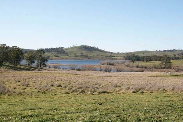 Suma Nyrang - 136 Ophir Road, Orange Picture 2