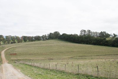 Lot 40 Phoenix Mine Road, Orange Picture