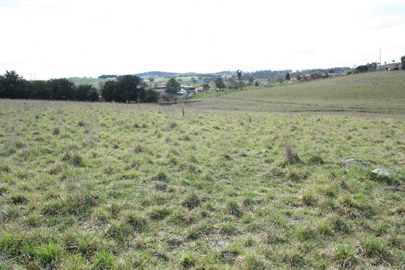 Lot 40 Phoenix Mine Road, Orange Picture 2