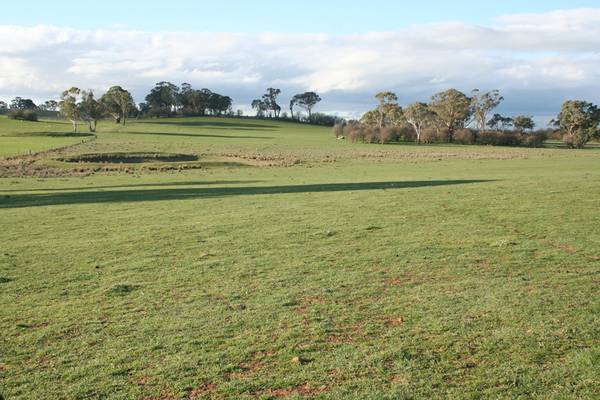 Lot 3 Lochlea, Orange Road, Millthorpe Picture 1