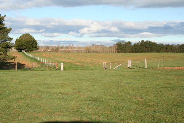 Lot 3 Lochlea, Orange Road, Millthorpe Picture 2