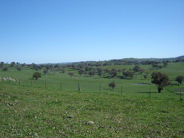 Mid Western Highway, Mandurama Picture 2