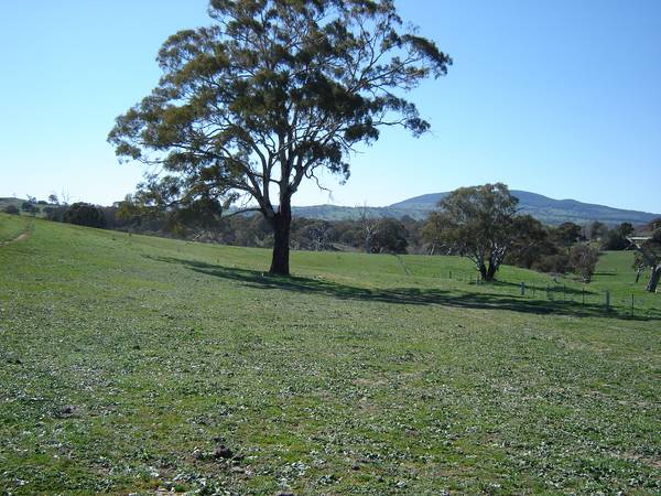 Mid Western Highway, Mandurama Picture 3