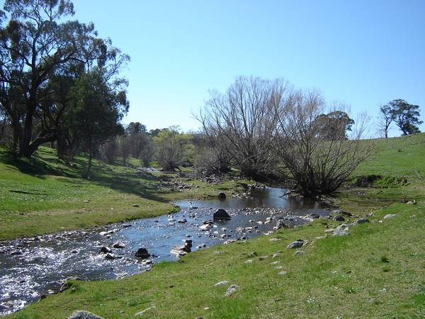 Mid Western Highway, Mandurama Picture 1