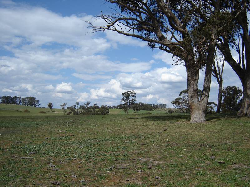 512 Barry Road, Neville Picture 2