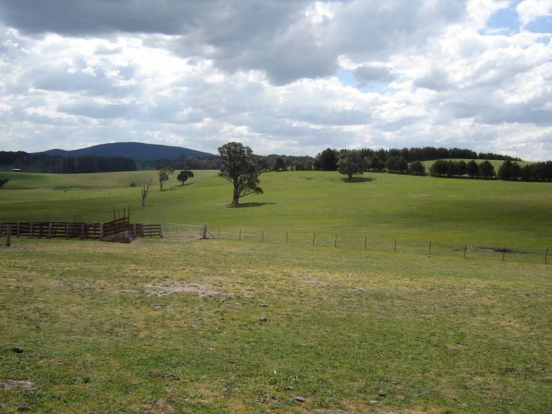 512 Barry Road, Neville Picture 1