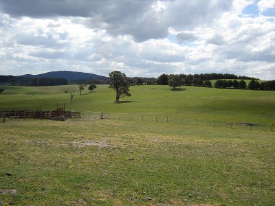 512 Barry Road, Neville Picture