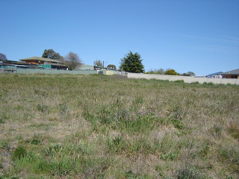 28 Peters Place, Blayney Picture 1