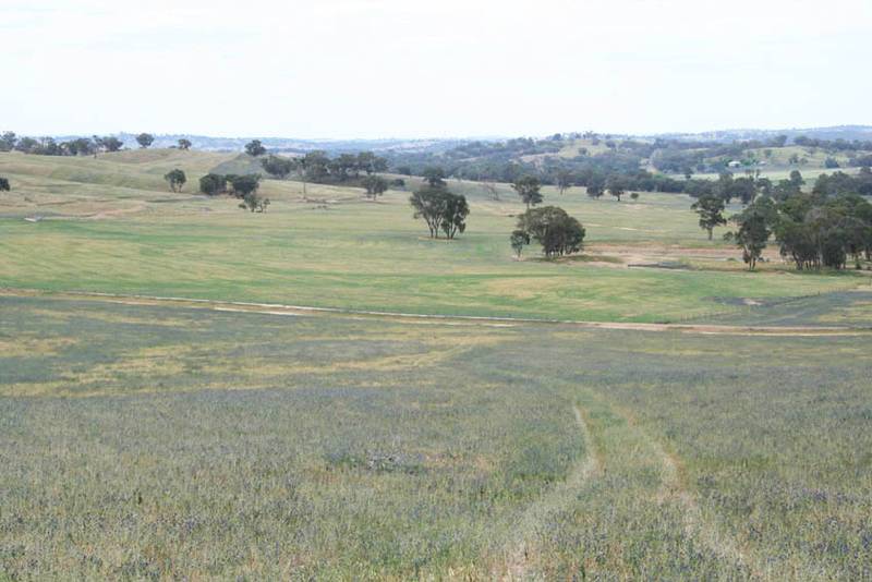 Craigie Springs, Burrendong Way, Euchareena Picture 1