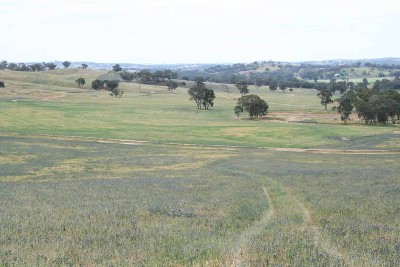 Craigie Springs, Burrendong Way, Euchareena Picture
