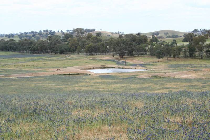 Craigie Springs, Burrendong Way, Euchareena Picture 2