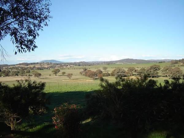 Rockdell Lane, Lyndhurst Picture 1