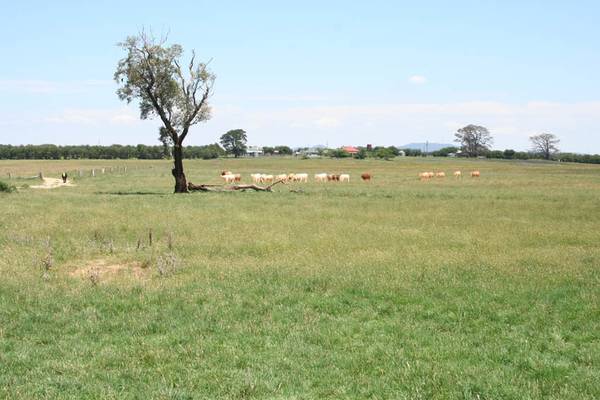 Lot 2 Whiley Road, Spring Hill Picture 3